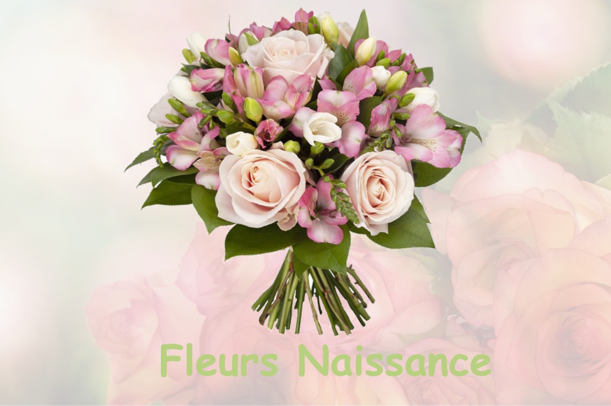 fleurs naissance SAINT-AFFRIQUE-LES-MONTAGNES